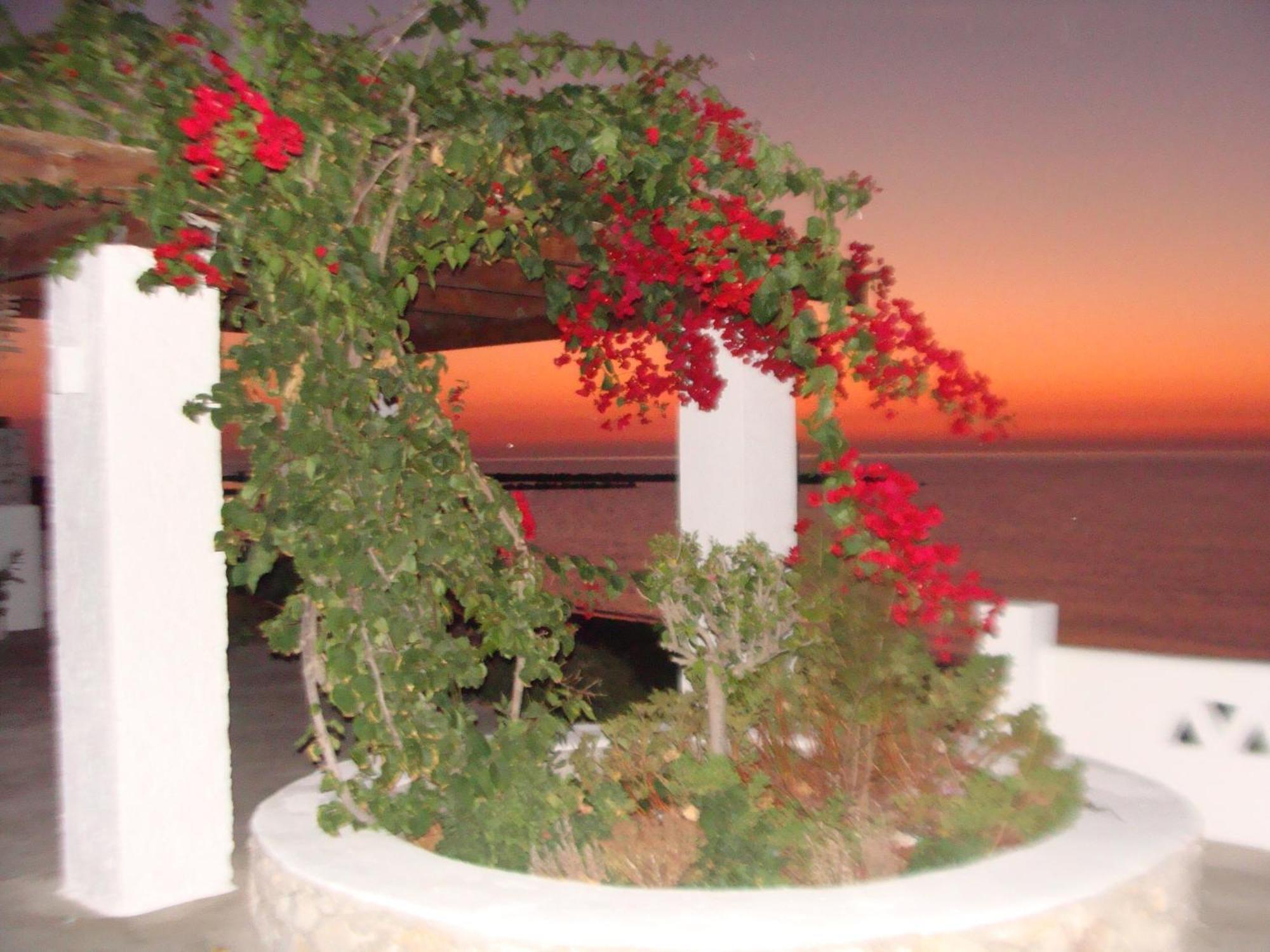 Apartamento Παραθιν Αλοσ 2 Skyros Exterior foto